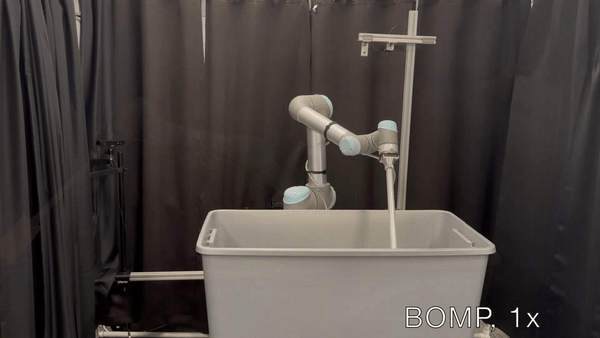 BOMP animated thumbnail